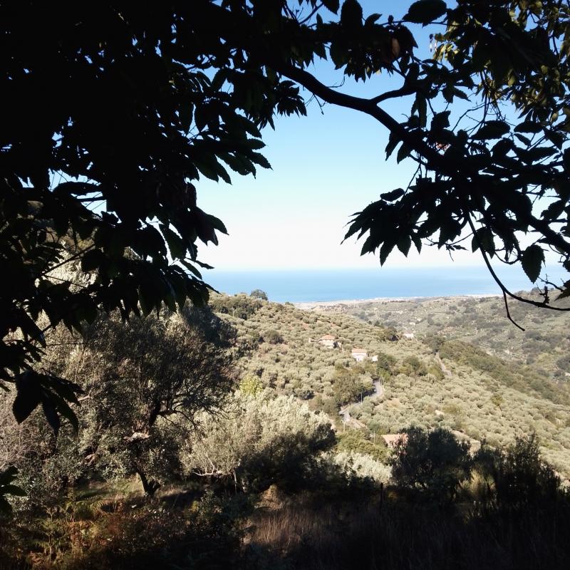 Fotosegnalazione di Nocera terinese