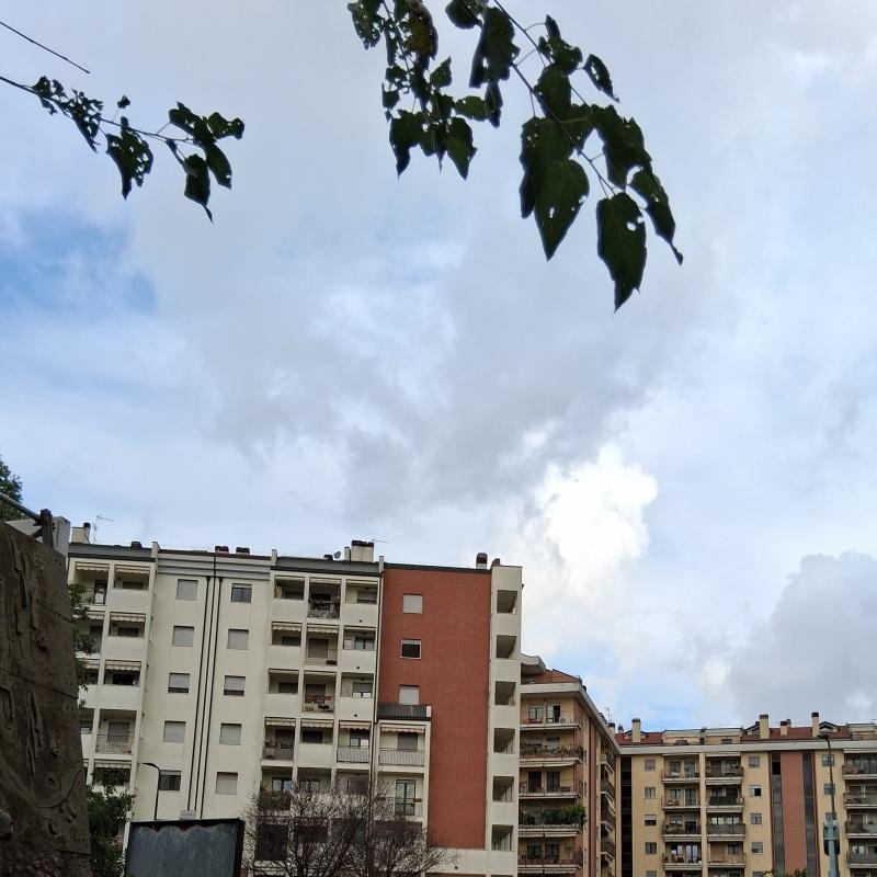 Fotosegnalazione di Milano niguarda