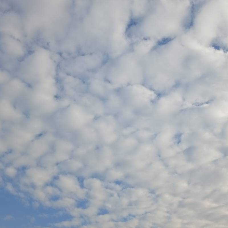 Fotosegnalazione di San giuliano milanese
