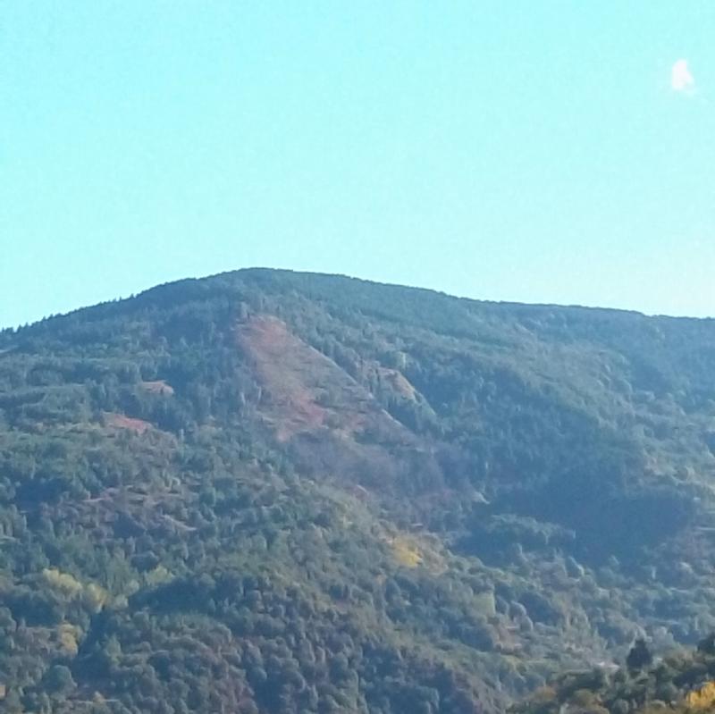 Fotosegnalazione di Nocera terinese