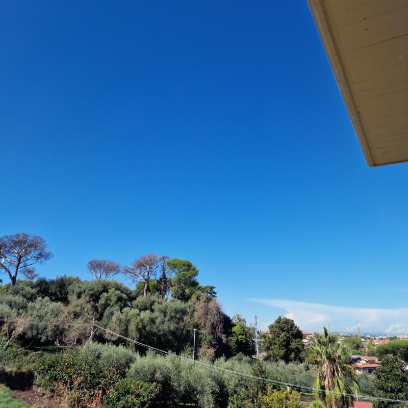Fotosegnalazione di Roma casal morena