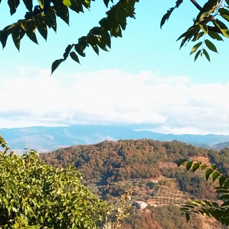 Fotosegnalazione di Nocera terinese