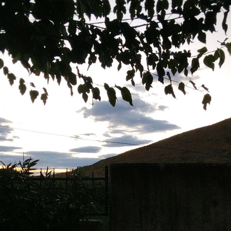 Fotosegnalazione di Gorizia lucinico