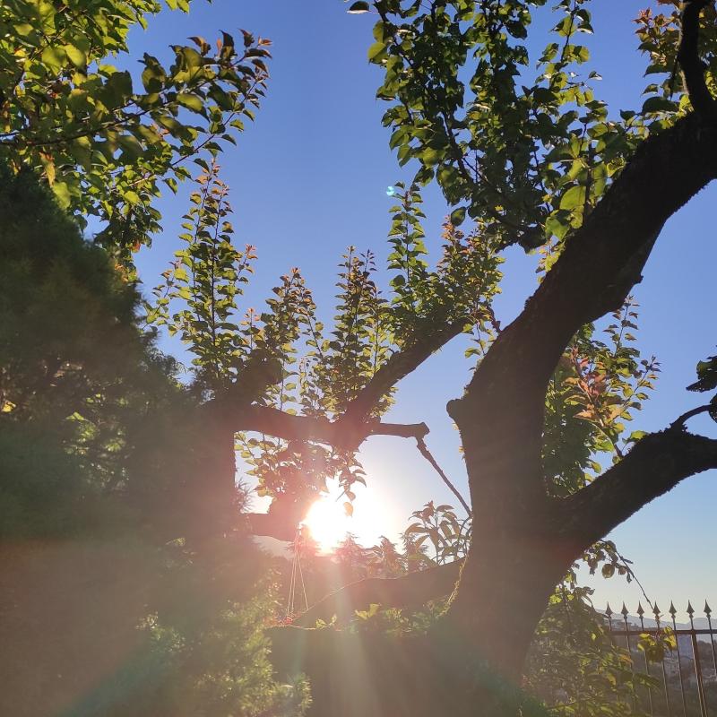 Fotosegnalazione di Olevano romano