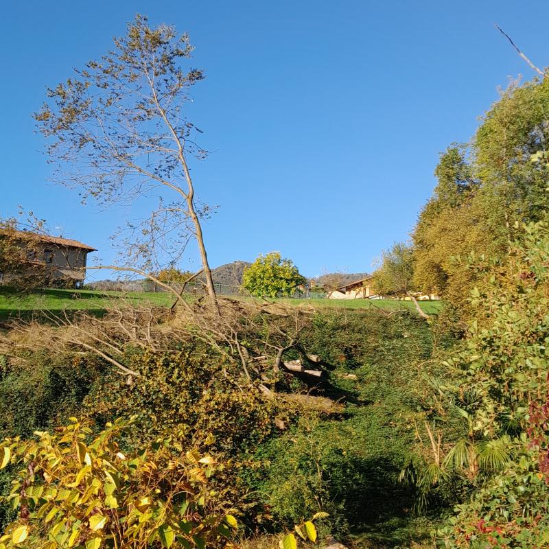 Fotosegnalazione di Forno canavese