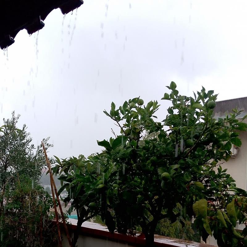 Fotosegnalazione di Palermo villagrazia - falsomiele