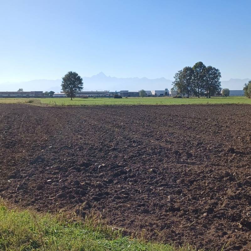 Fotosegnalazione di Caramagna piemonte