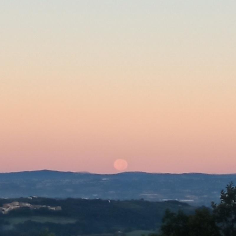 Fotosegnalazione di Palombara sabina