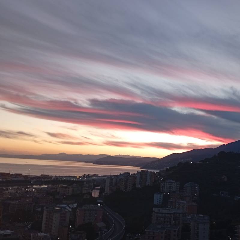 Fotosegnalazione di Genova ponente litorale