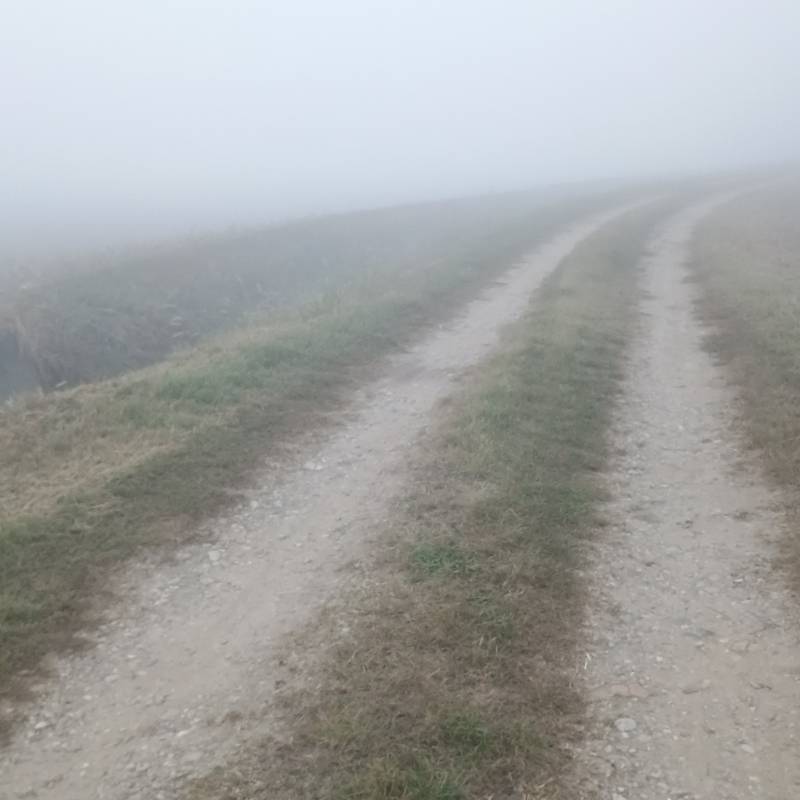Fotosegnalazione di Chignolo po