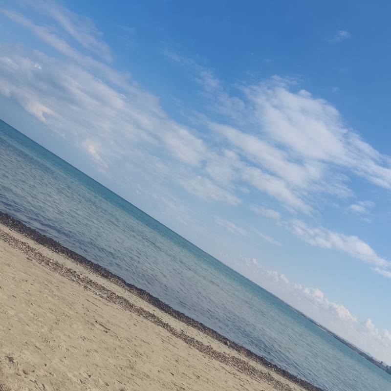 Fotosegnalazione di Torre canne