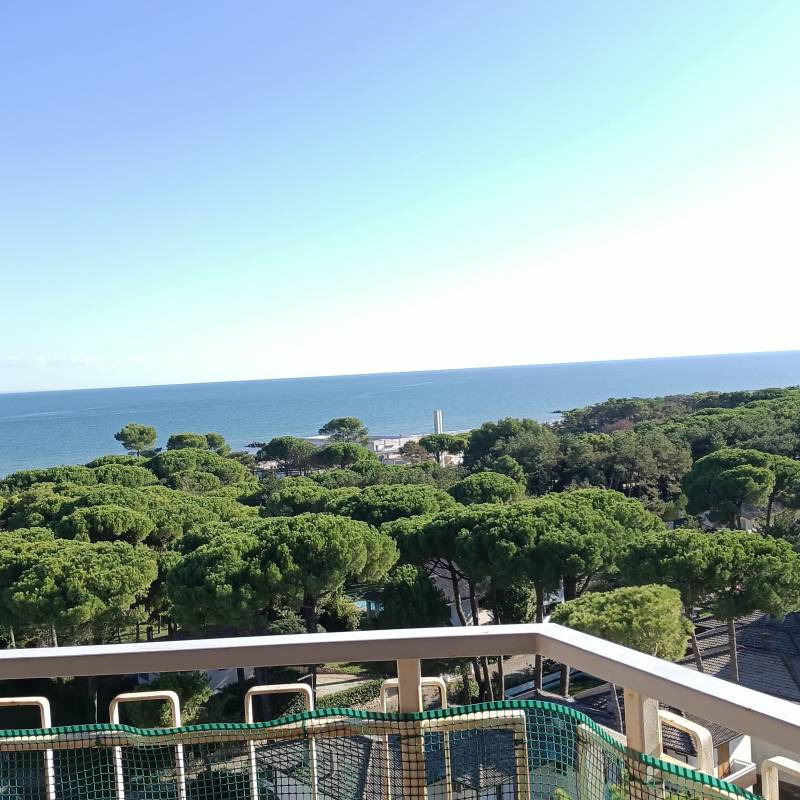 Fotosegnalazione di Lignano pineta
