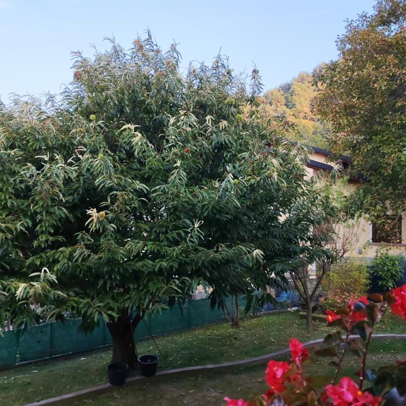 Fotosegnalazione di Cavallasca