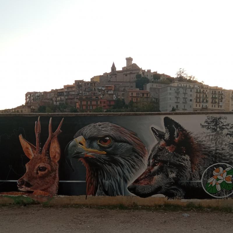 Fotosegnalazione di Palombara sabina