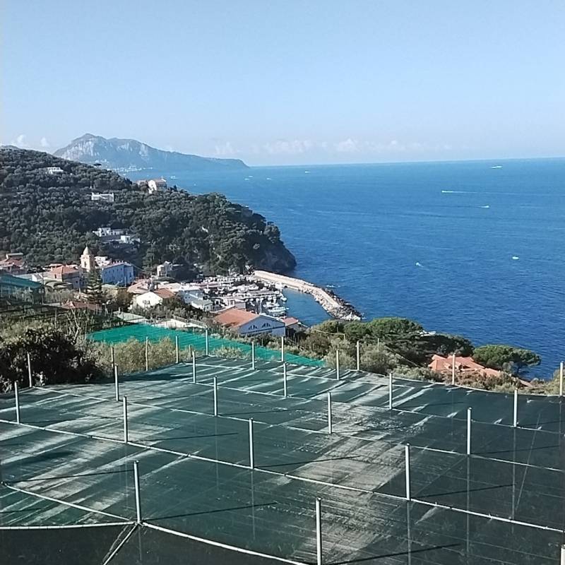 Fotosegnalazione di Massa lubrense