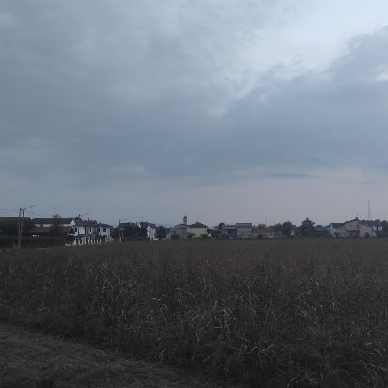 Fotosegnalazione di Zerbo