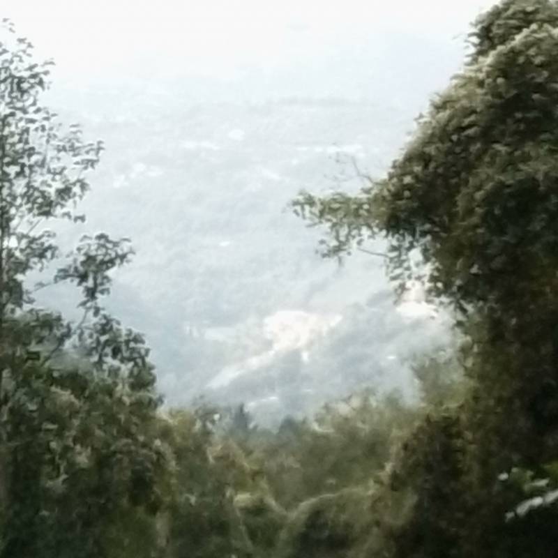 Fotosegnalazione di Nocera terinese