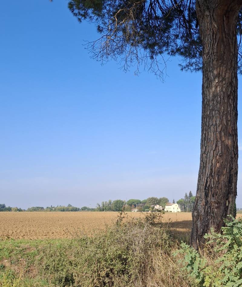 Celle di Faenza