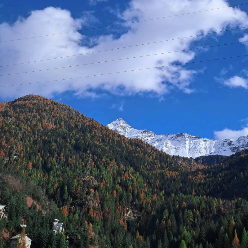 i colori dell'autunno