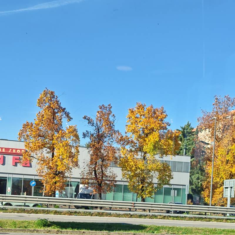Fotosegnalazione di Corsico