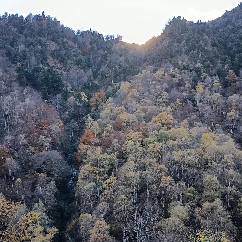 Fotosegnalazione di Valstrona