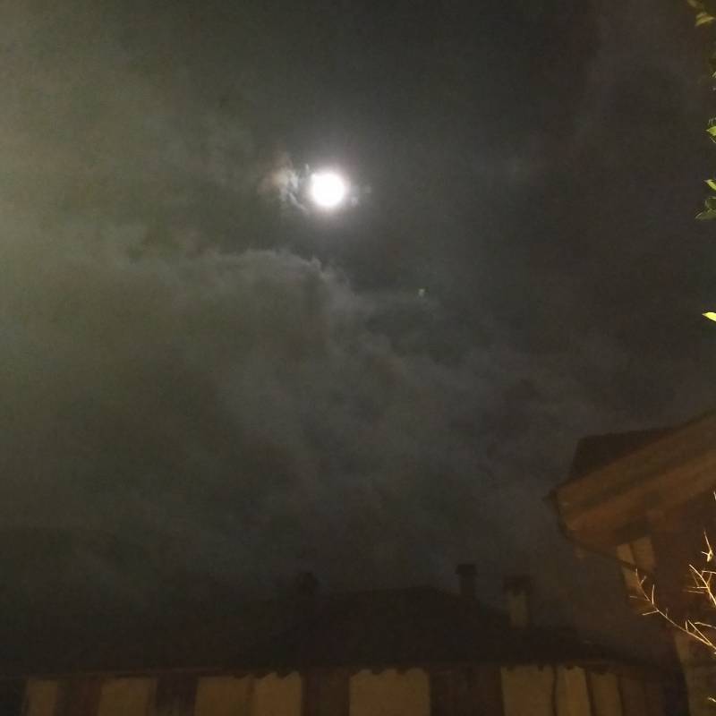 Fotosegnalazione di Praso
