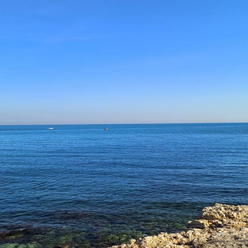 2 novembre