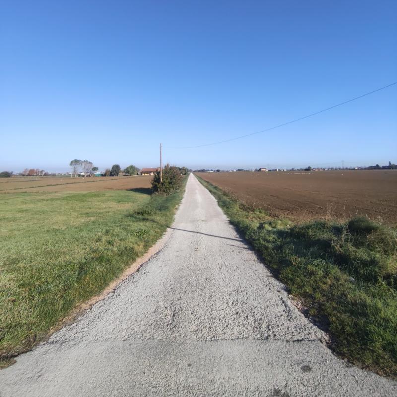 Fotosegnalazione di Bagnarola
