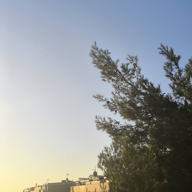 Fotosegnalazione di Foggia centro urbano