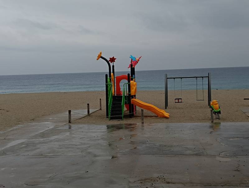 mare