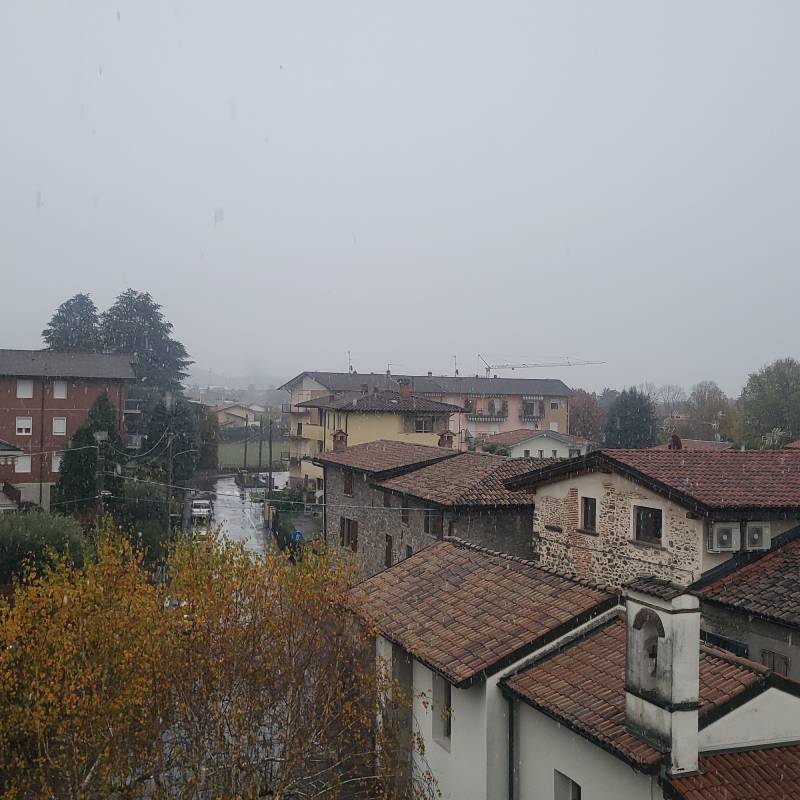 Fiocchi di neve