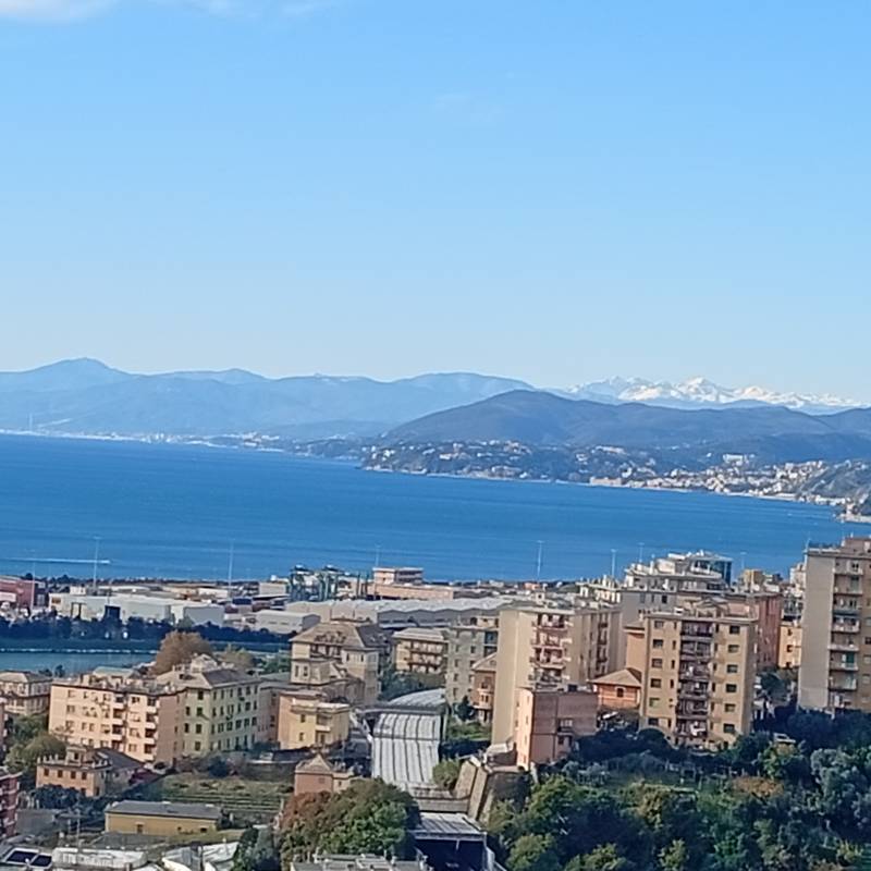 Fotosegnalazione di Genova ponente litorale