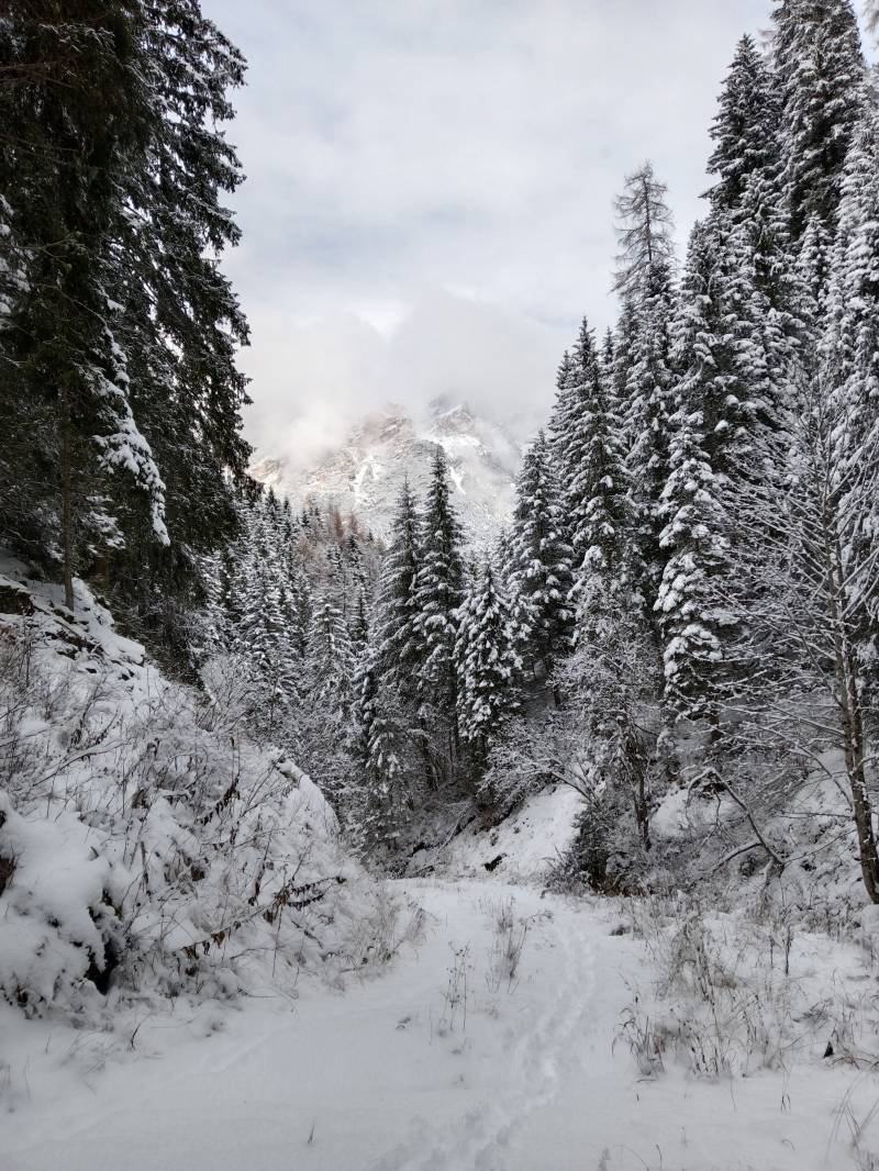 nevicata 21 novembre 2025