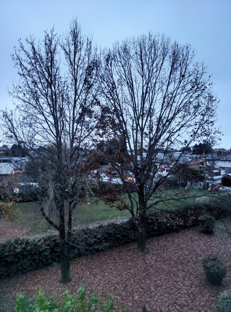 piove sui rami ormai spogli. i miei attimi speciali adry