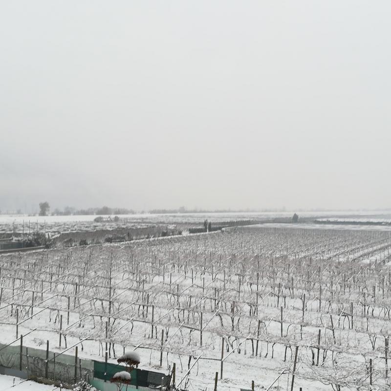 Fotosegnalazione di Salorno