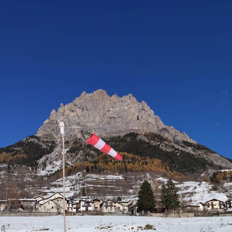 Fotosegnalazione di Sambuco