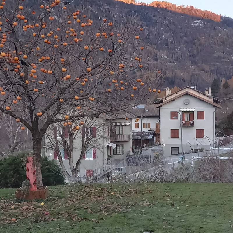 Fotosegnalazione di Spera