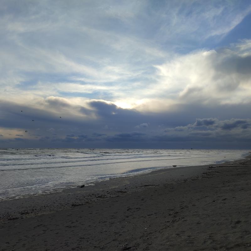 Il mare oggi