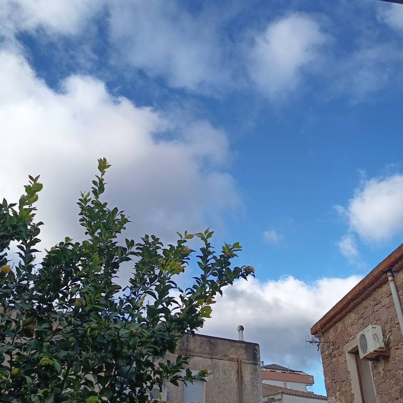 Fotosegnalazione di Nuoro centro urbano