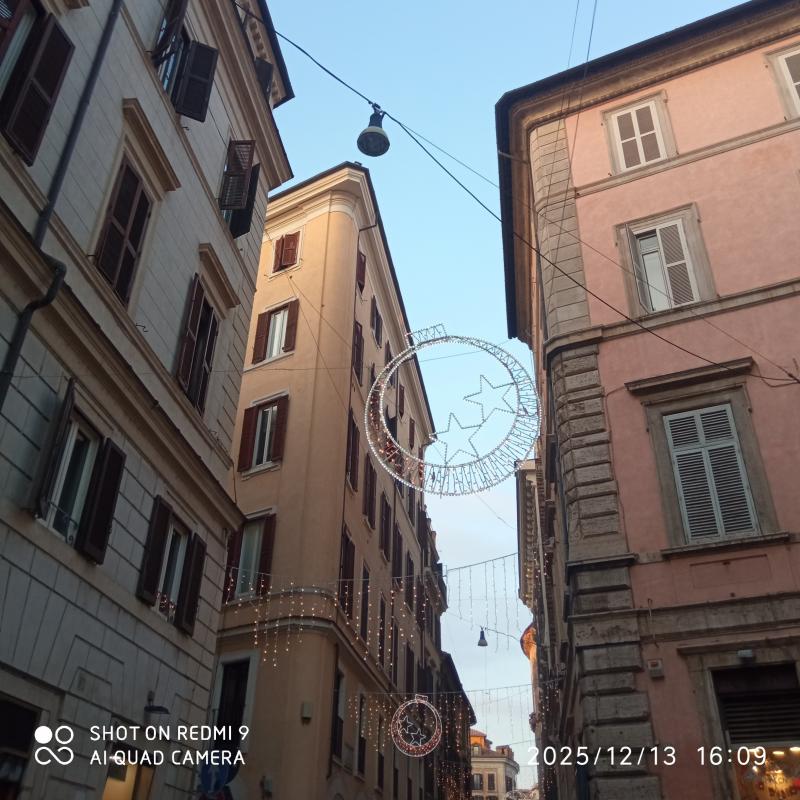 Fotosegnalazione di Roma pigna