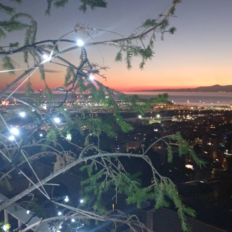 Fotosegnalazione di Genova ponente litorale