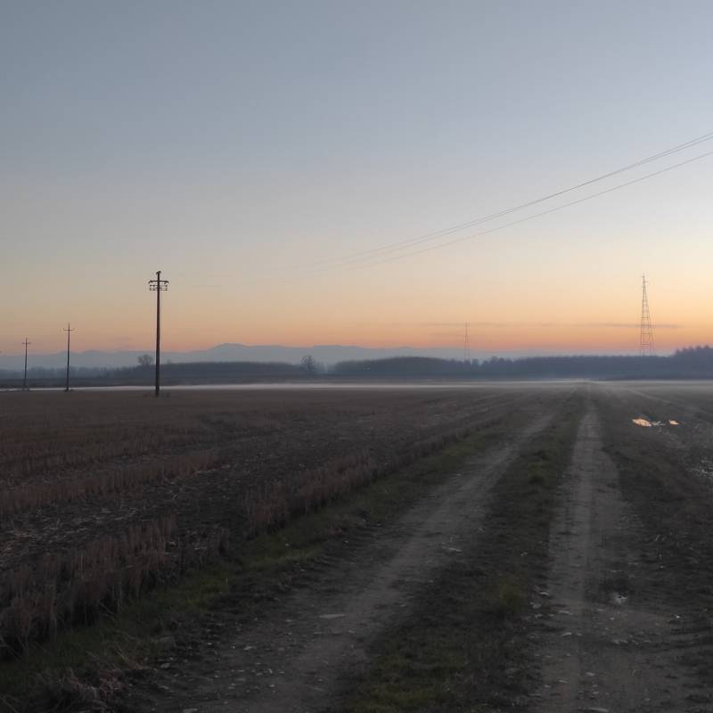 Fotosegnalazione di Zerbo