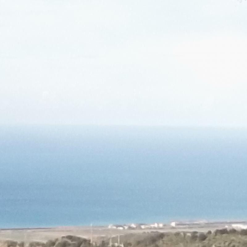 Fotosegnalazione di Nocera terinese