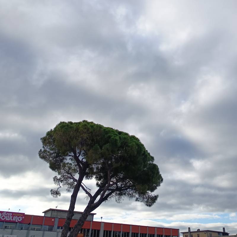 Fotosegnalazione di Civitanova marche
