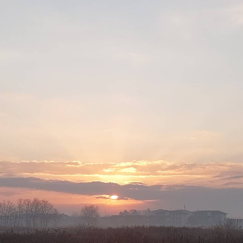 Fotosegnalazione di Dorno