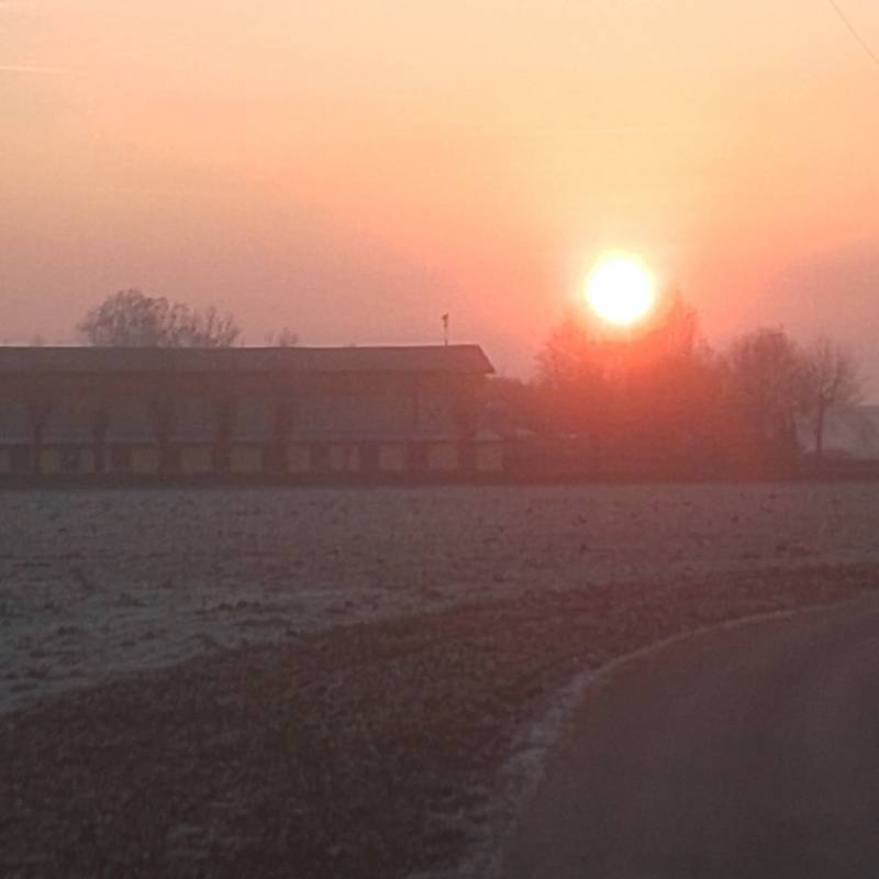 Fotosegnalazione di Travagliato