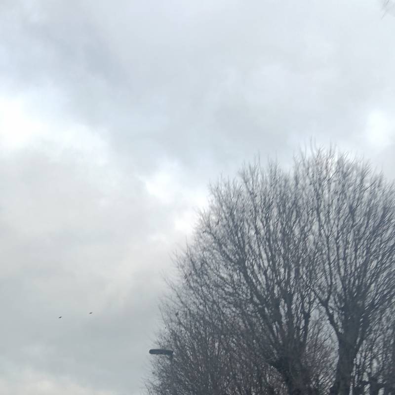 Fotosegnalazione di Firenze campo di marte