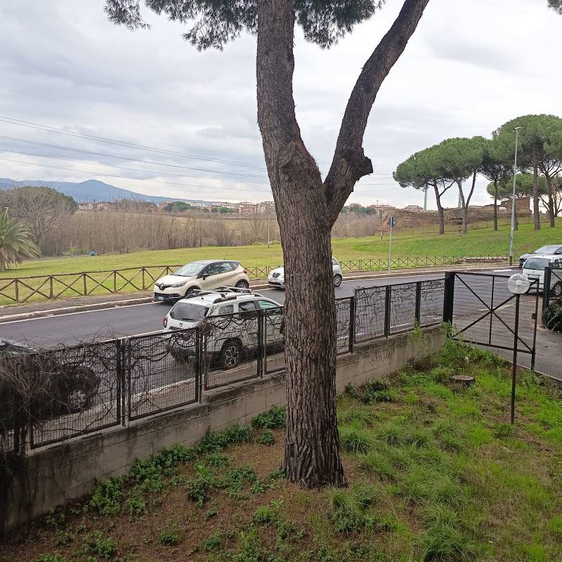 Fotosegnalazione di Roma alessandrino