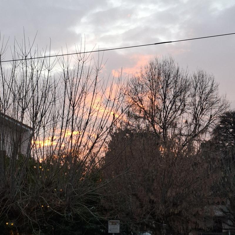 Fotosegnalazione di Sassuolo