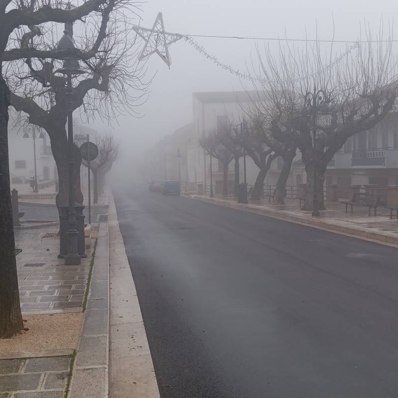 Nebbia a casalnuovo monterotaro